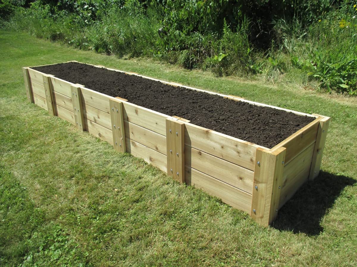 Best Planters and Containers for Southern Gardening (2026 Guide)