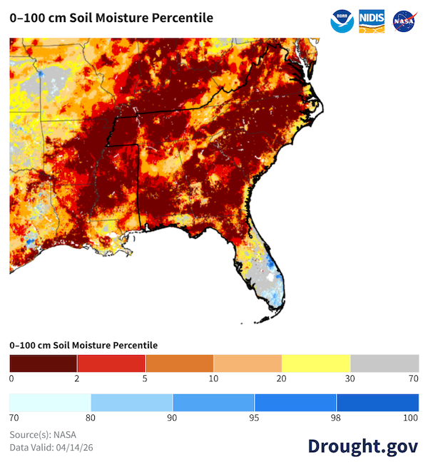 How to Save Your Southeast Garden in This Brutal 2026 Drought